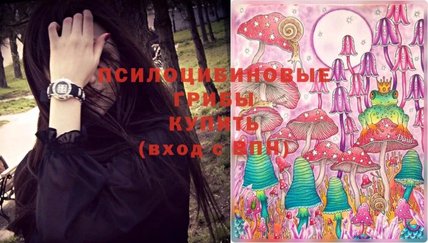 ALPHA-PVP Канск