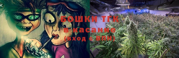 спайс Нея