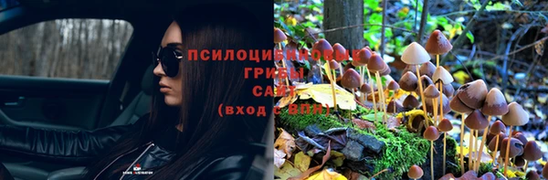 спайс Нея