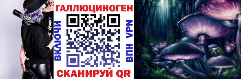 shop состав  Кашира  Псилоцибиновые грибы Psilocybine cubensis 