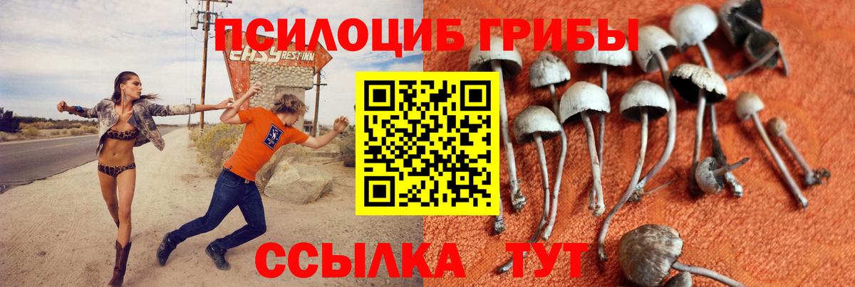 Псилоцибиновые грибы Magic Shrooms  Кашира 