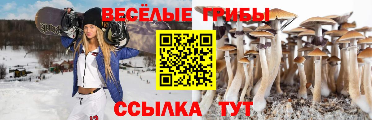 Псилоцибиновые грибы MAGIC MUSHROOMS Кашира