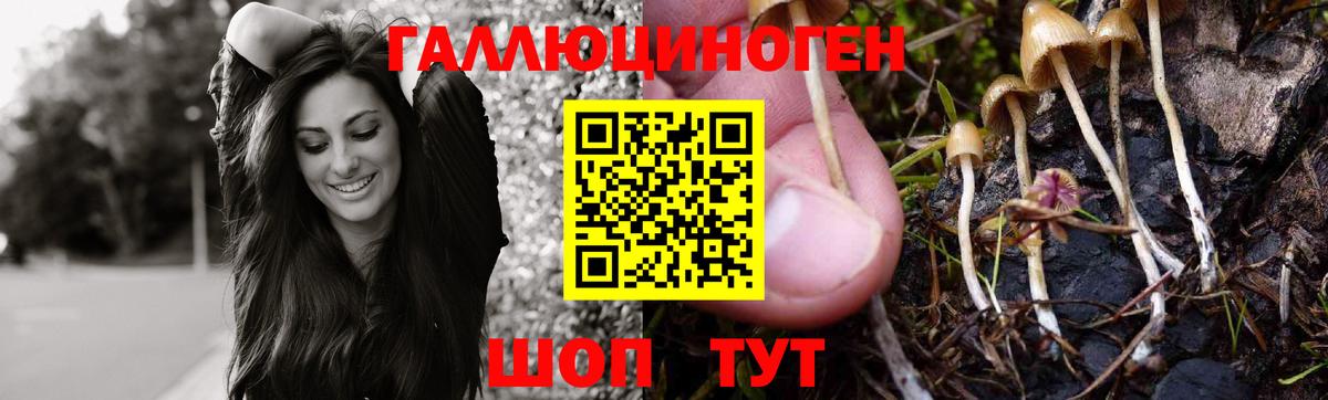Кашира  Псилоцибиновые грибы GOLDEN TEACHER  Псилоцибиновые грибы MAGIC MUSHROOMS  Вход с VPN 